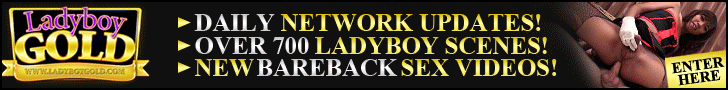 Sexy ladyboys at ladyboygold.com